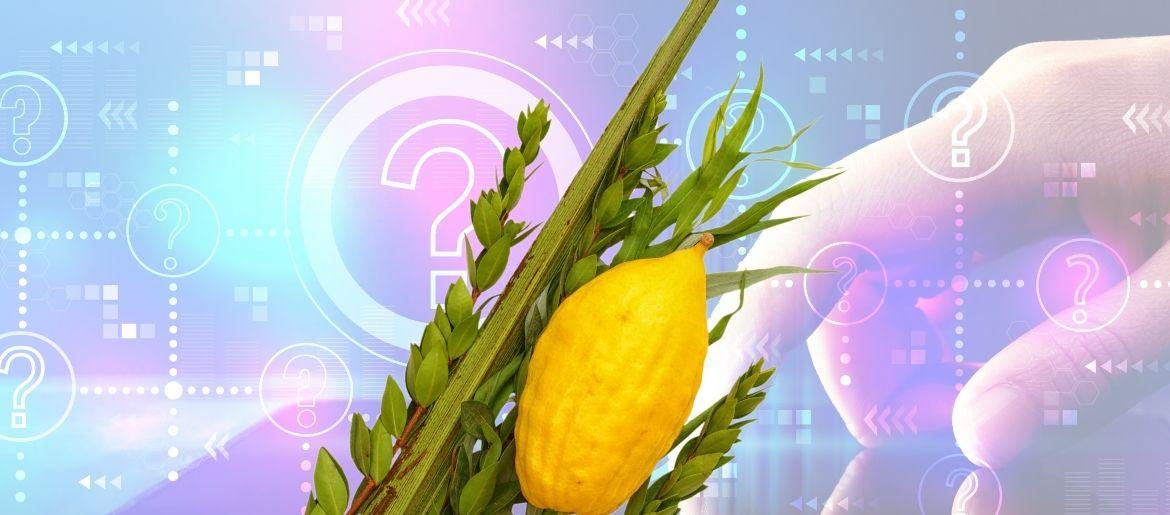 The Jewish Blog of Why: Why Do We Read The Book of Kohelet on Sukkot?