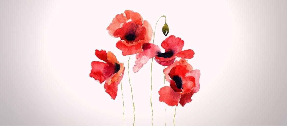 Painting Poppies