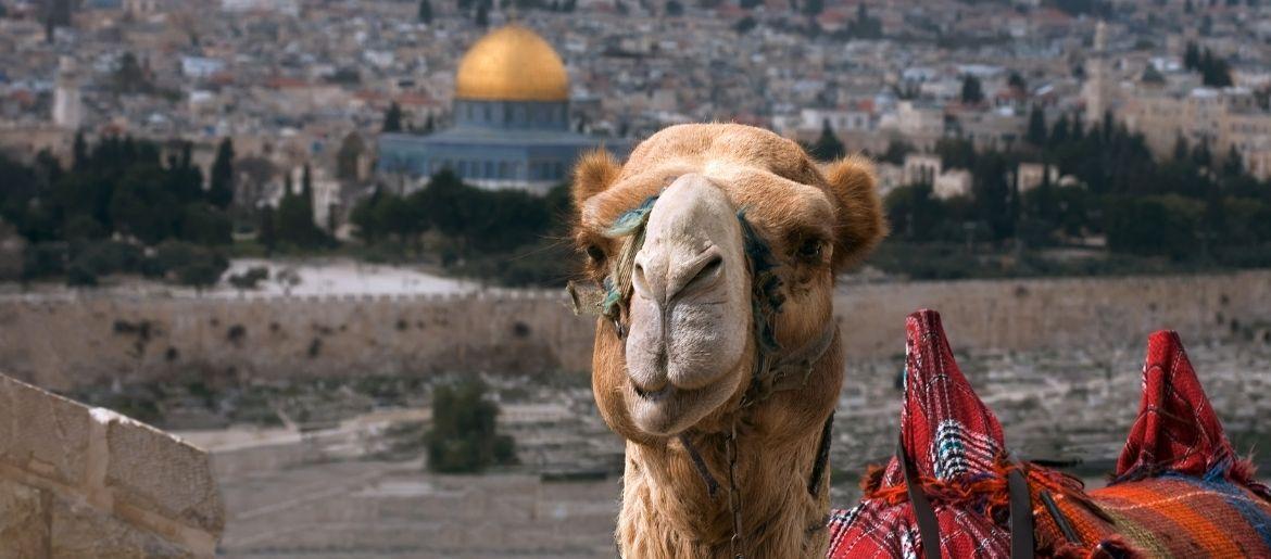 Only in Israel