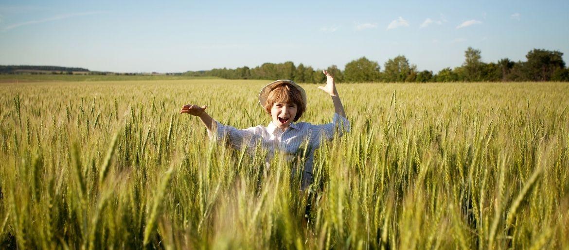 Shavuot - A Celebration of Life