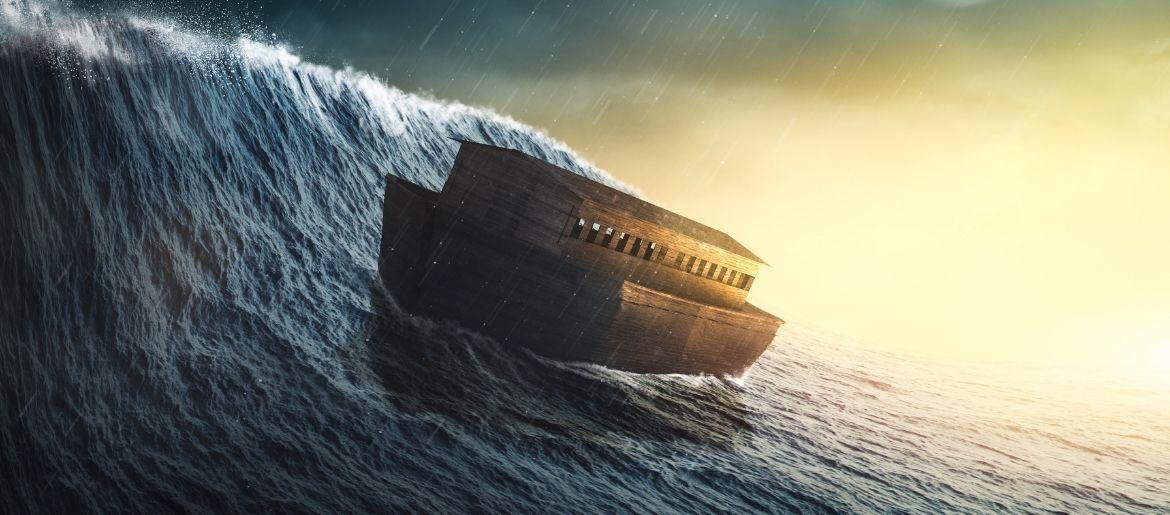 Why Build an Ark?